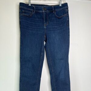 Ann Taylor The Skinny Blue Denim Jeans Sz 10 Dark Wash